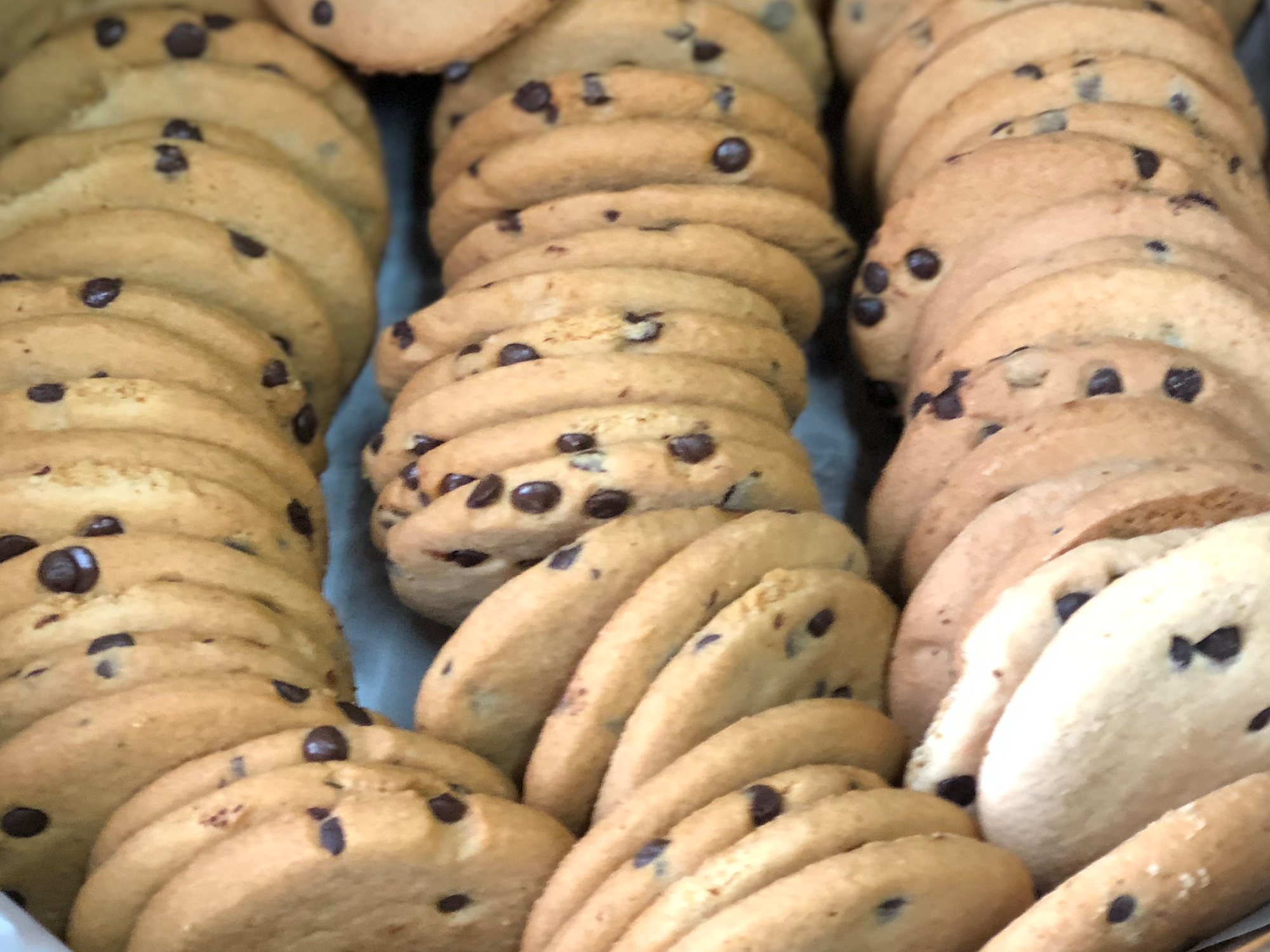 GALLETITAS C CHISPAS DE CHOCOLATE