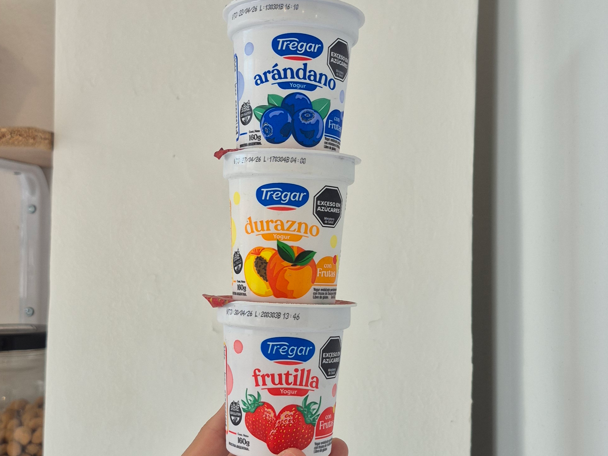 Yogurt tregar saborizado 160gr