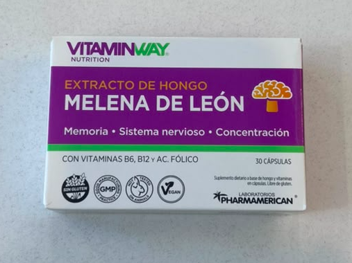 Melena de leon x30 caps Vitamin Way