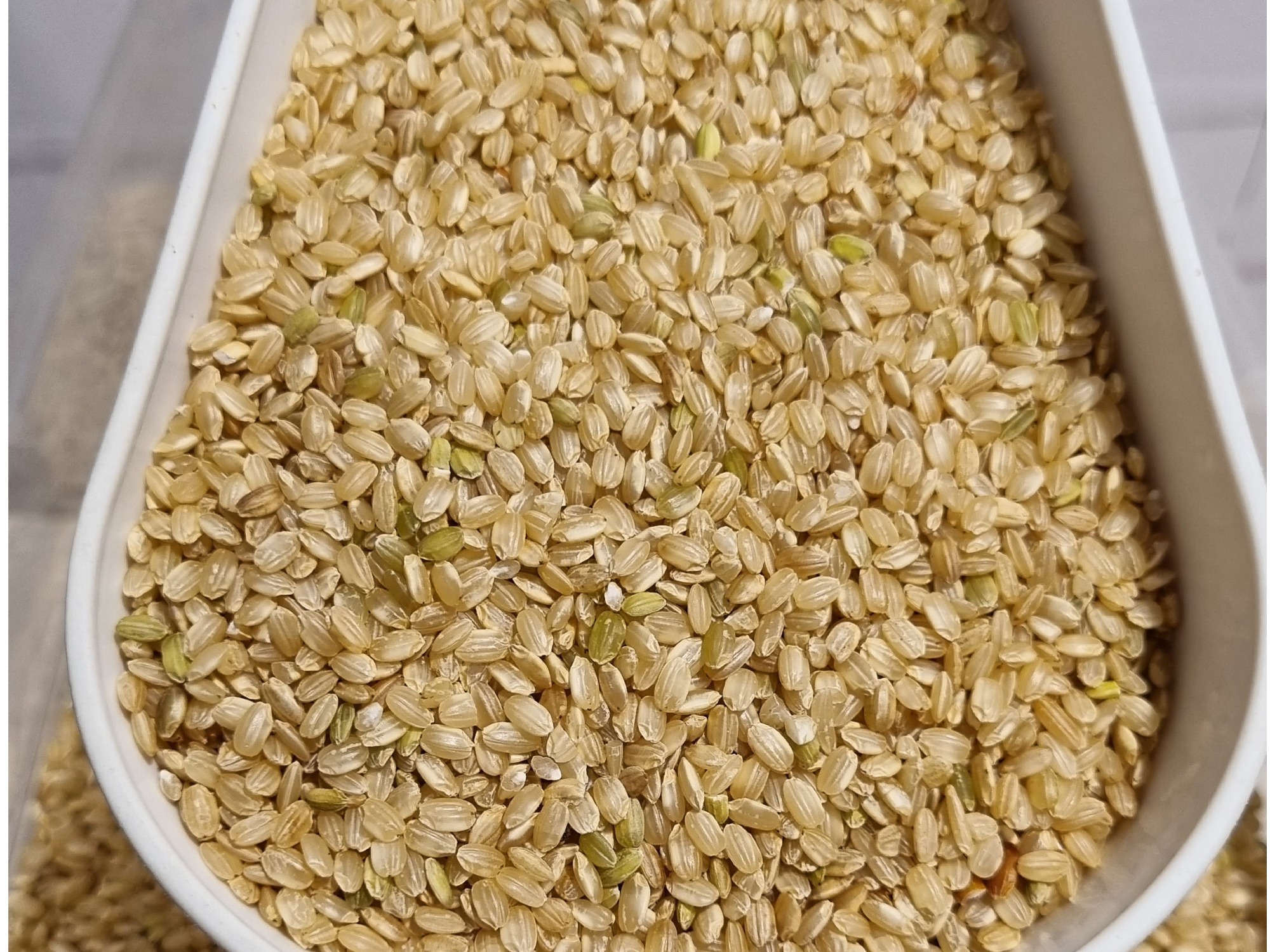 Arroz yamaní