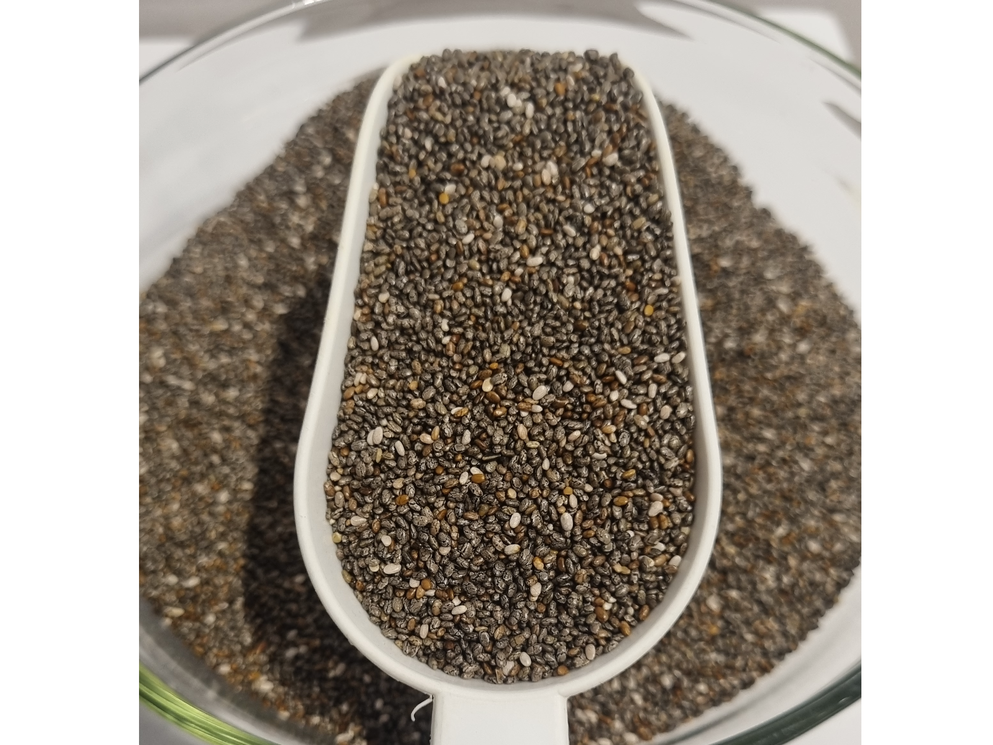 Chia