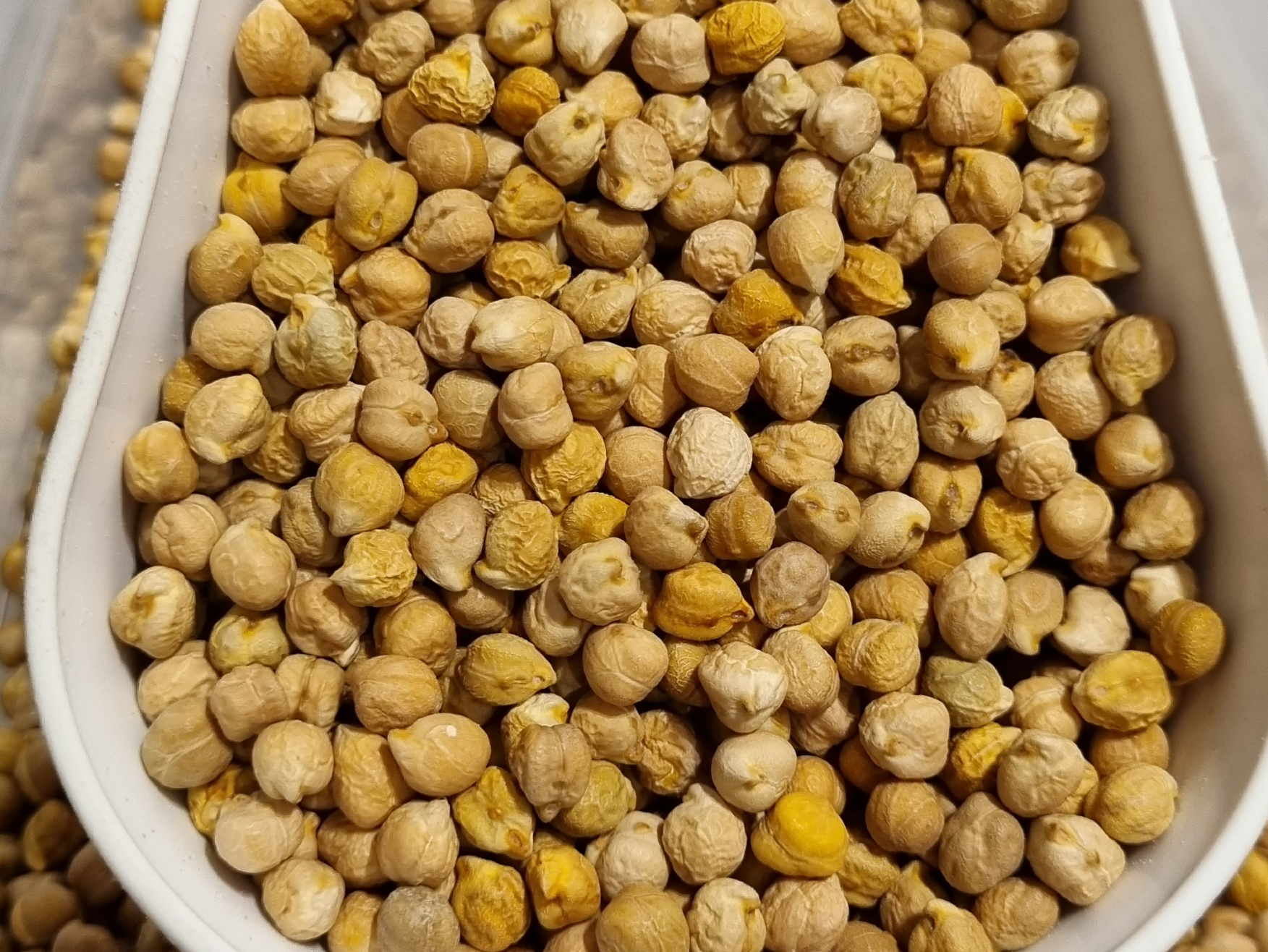 Garbanzos