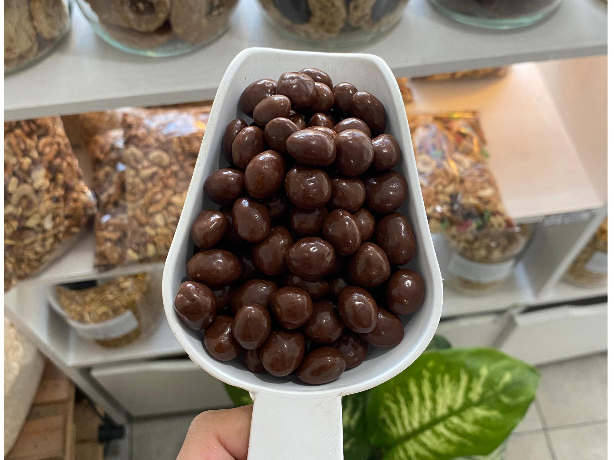 Pasas de uva con chocolate con leche