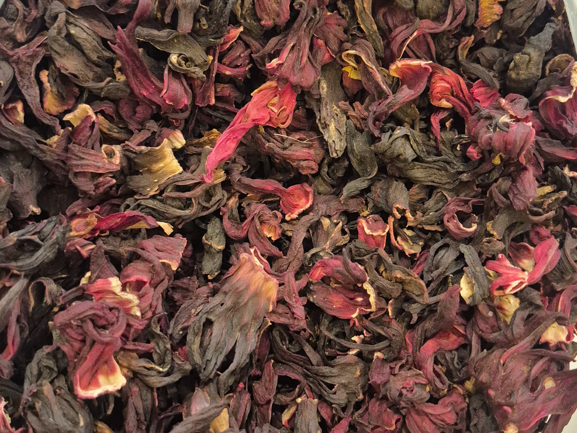 Hibiscus (flor de jamaica)
