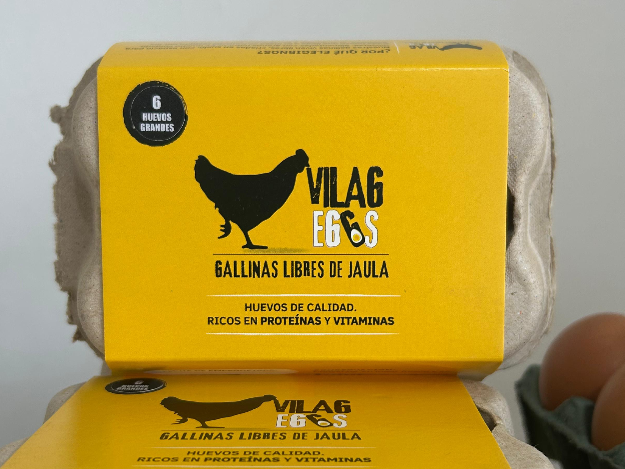 Huevos gallinas libres de jaulas