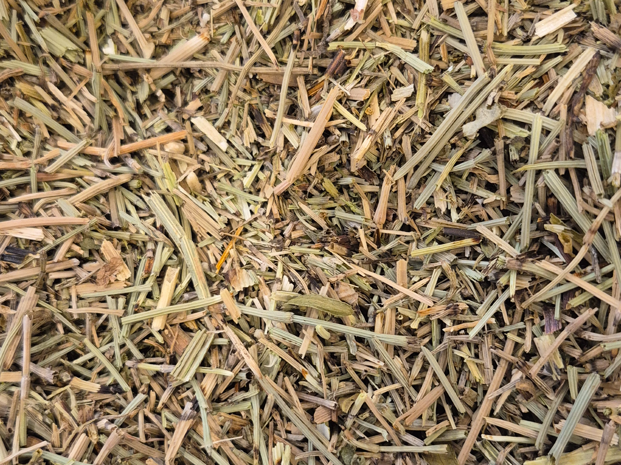 Cola de caballo