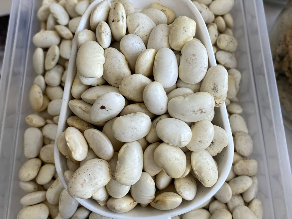 Porotos pallares