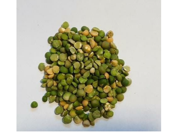 Arveja partida (verde )