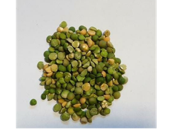 Arveja partida (verde )