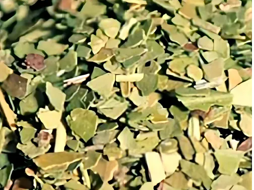 Yerba Ajedrez PREMIUM s/palo