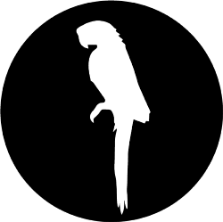 Logo Guacamayo Percusion