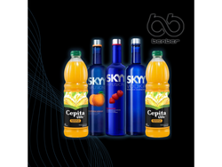 Skyy Saborizado o clásico + 2 CEPITA 1.5LT