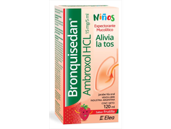 BRONQUISEDAN NÑ JAR X 120 ML