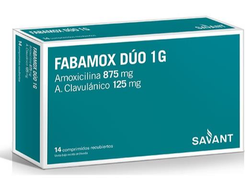 FABAMOX DUO 1 GR CPR X 14