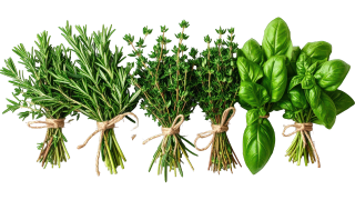 Aromaticas