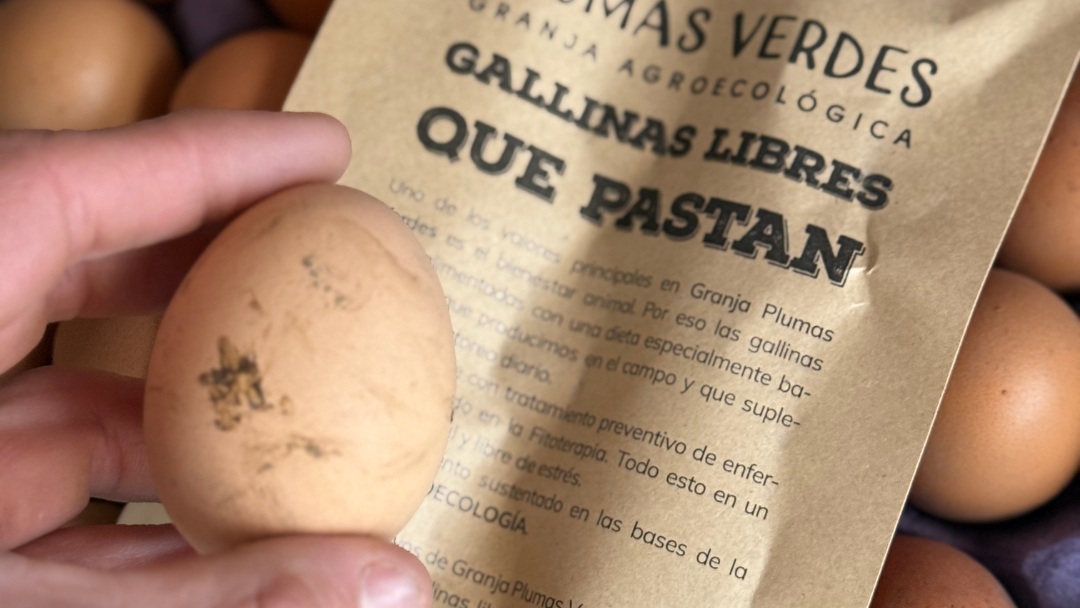 Huevos