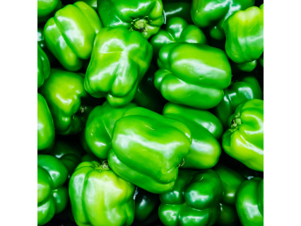 Pimiento Verde