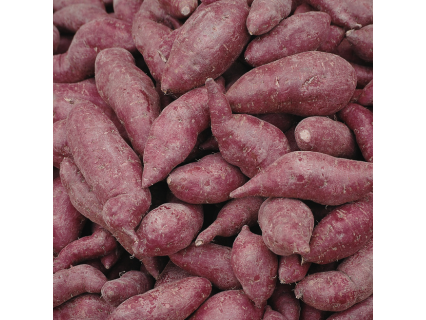 OFERTA Batata