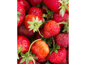 Frutilla de biOrg