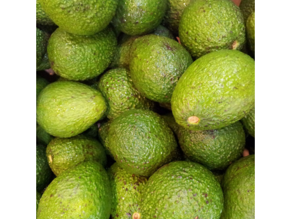 Palta HASS