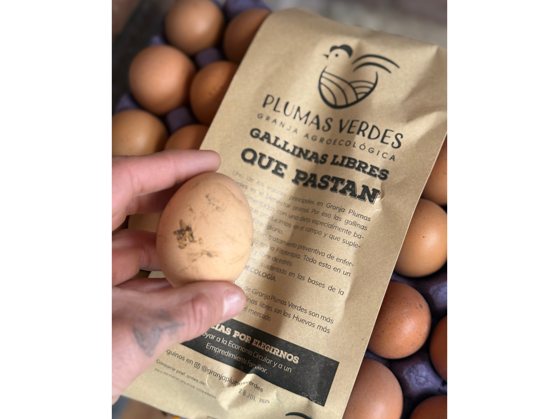 Huevos Agroecologicos de biOrg