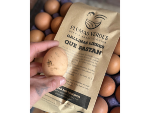 Huevos Agroecologicos de biOrg