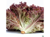 Lechuga Morada