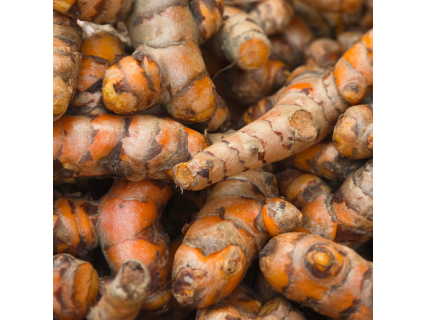Curcuma