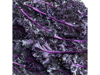 Kale Morado