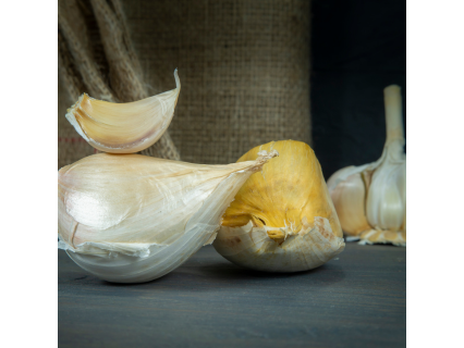 Ajo Pata de Elefante