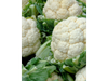 Coliflor