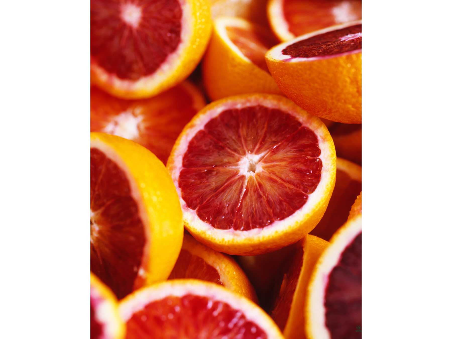 Naranja Sanguina