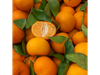 OFERTA Mandarina