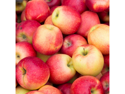 OFERTA Manzana PINK