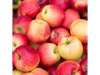OFERTA Manzana PINK