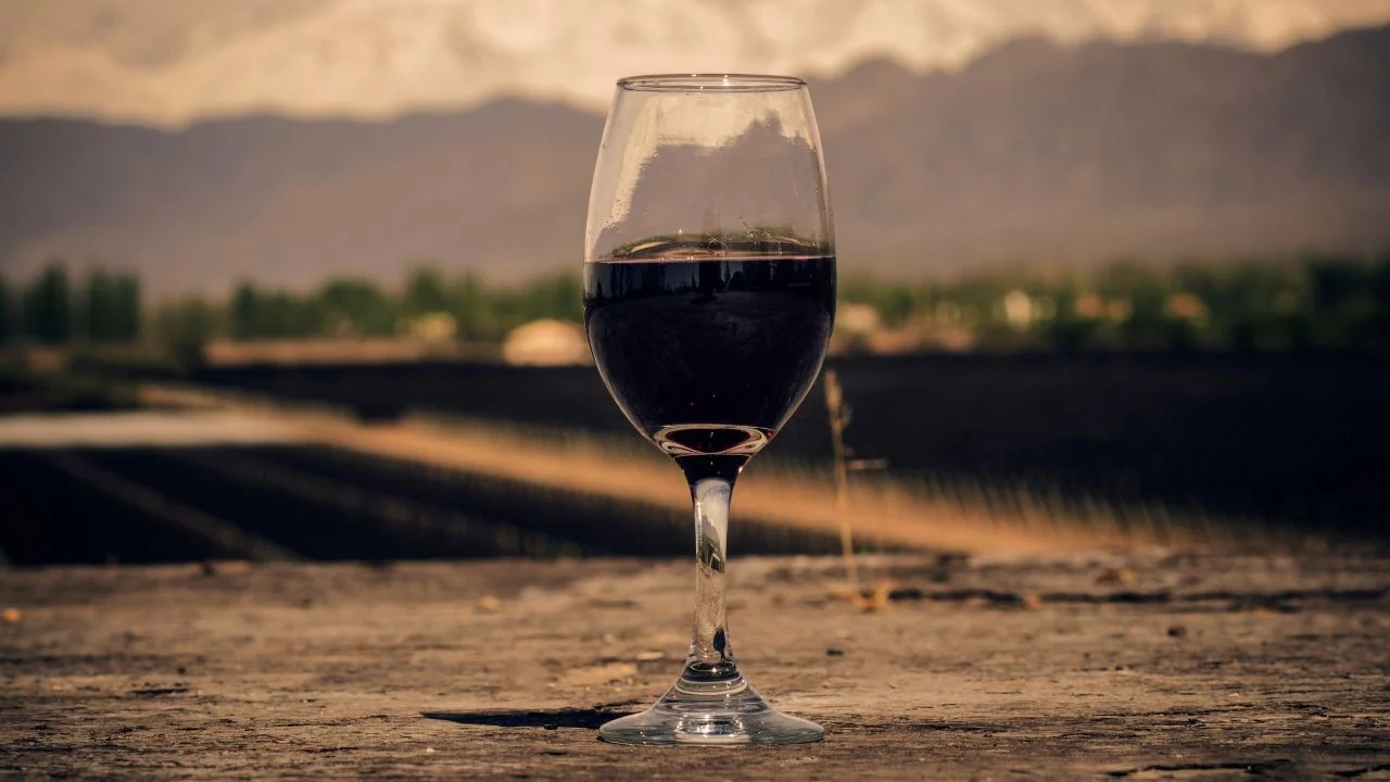 Vinos de Mendoza