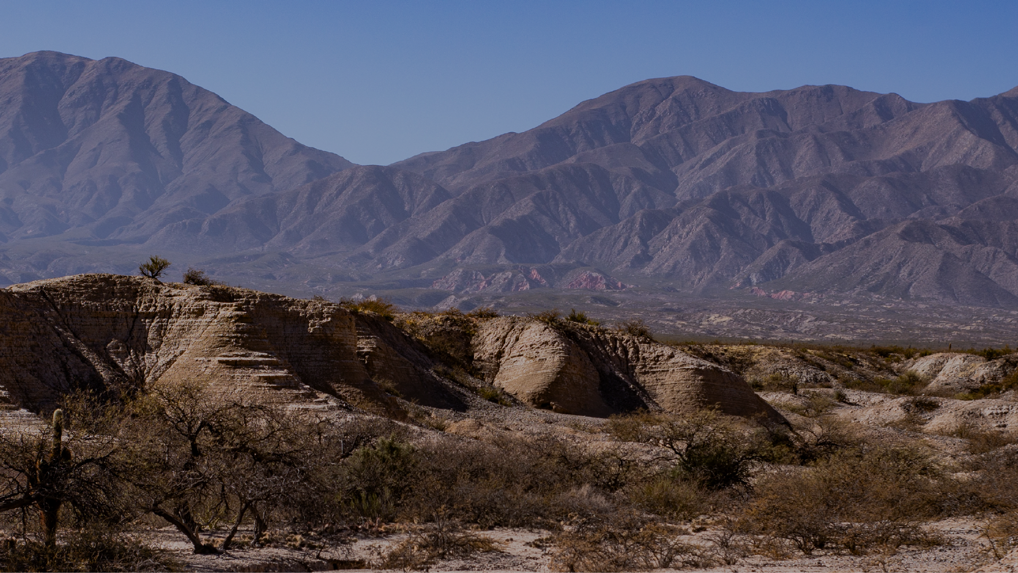Tintos de Mendoza y Resto del país