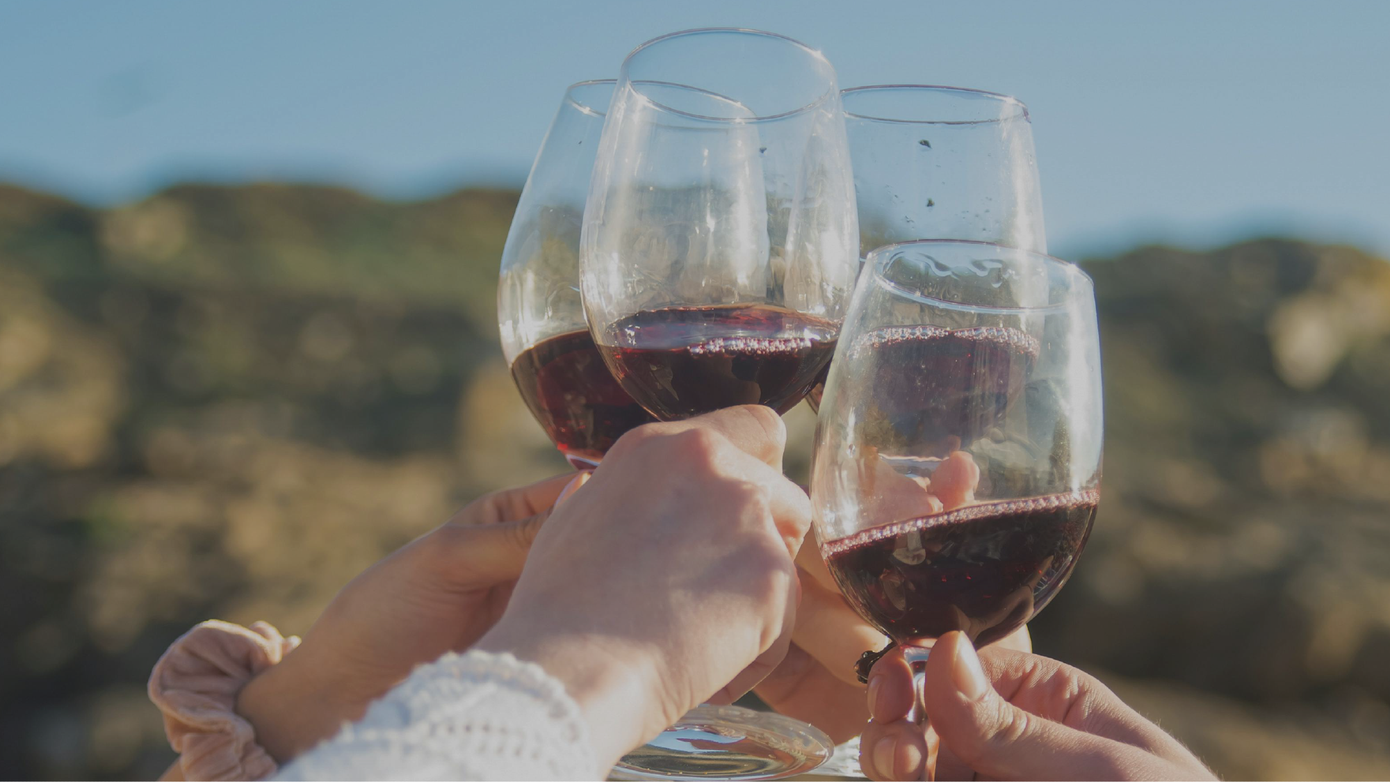 Tintos de Mendoza y Resto del país