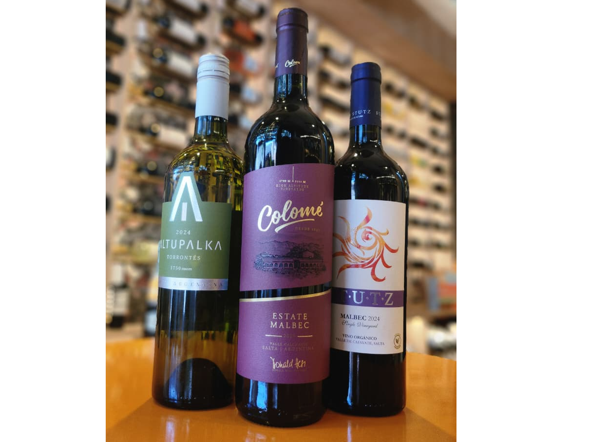 Combo 1: Stutz + Colomé Malbec + Altupalka Torrontés