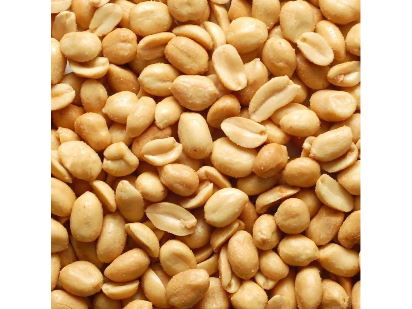 Maní tostado repelado c/Sal x2kg