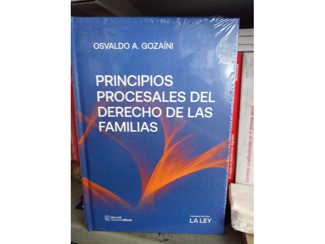 PRINCIPIOS PROCESALES DEL DERECHO DE LAS FAMILIAS