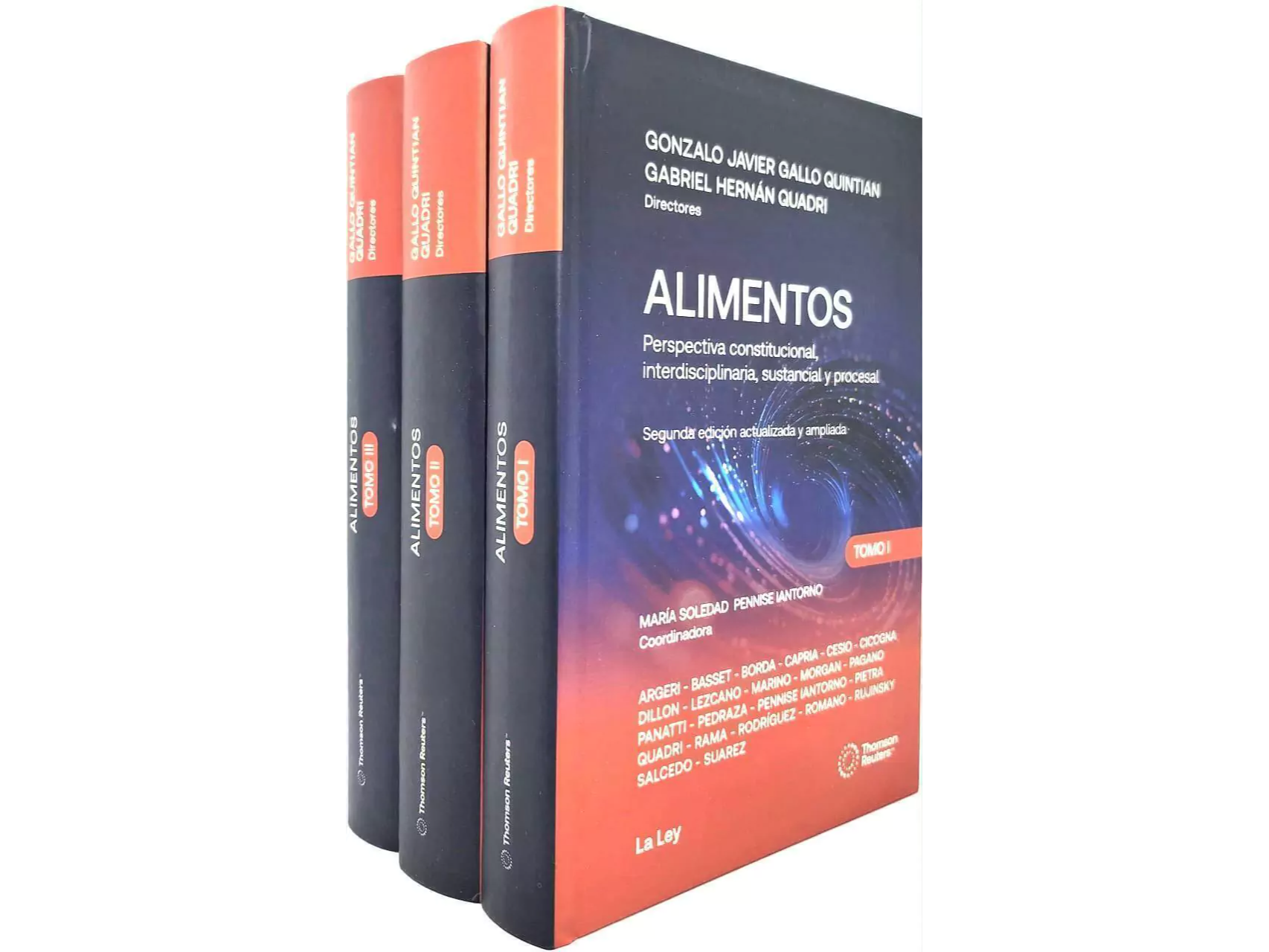 ALIMENTOS. PERSPECTIVA CONSTITUCIONAL, INTERDISCIPLINARIA, SUSTANCIAL Y PROCESAL 3 tomos de Lujo