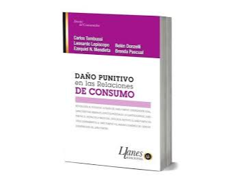 DAÑO PUNITIVO EN LAS RELACIONES DE CONSUMO