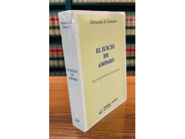 EL JUICIO DE AMPARO - 2º EDICION ACTUALIZADA