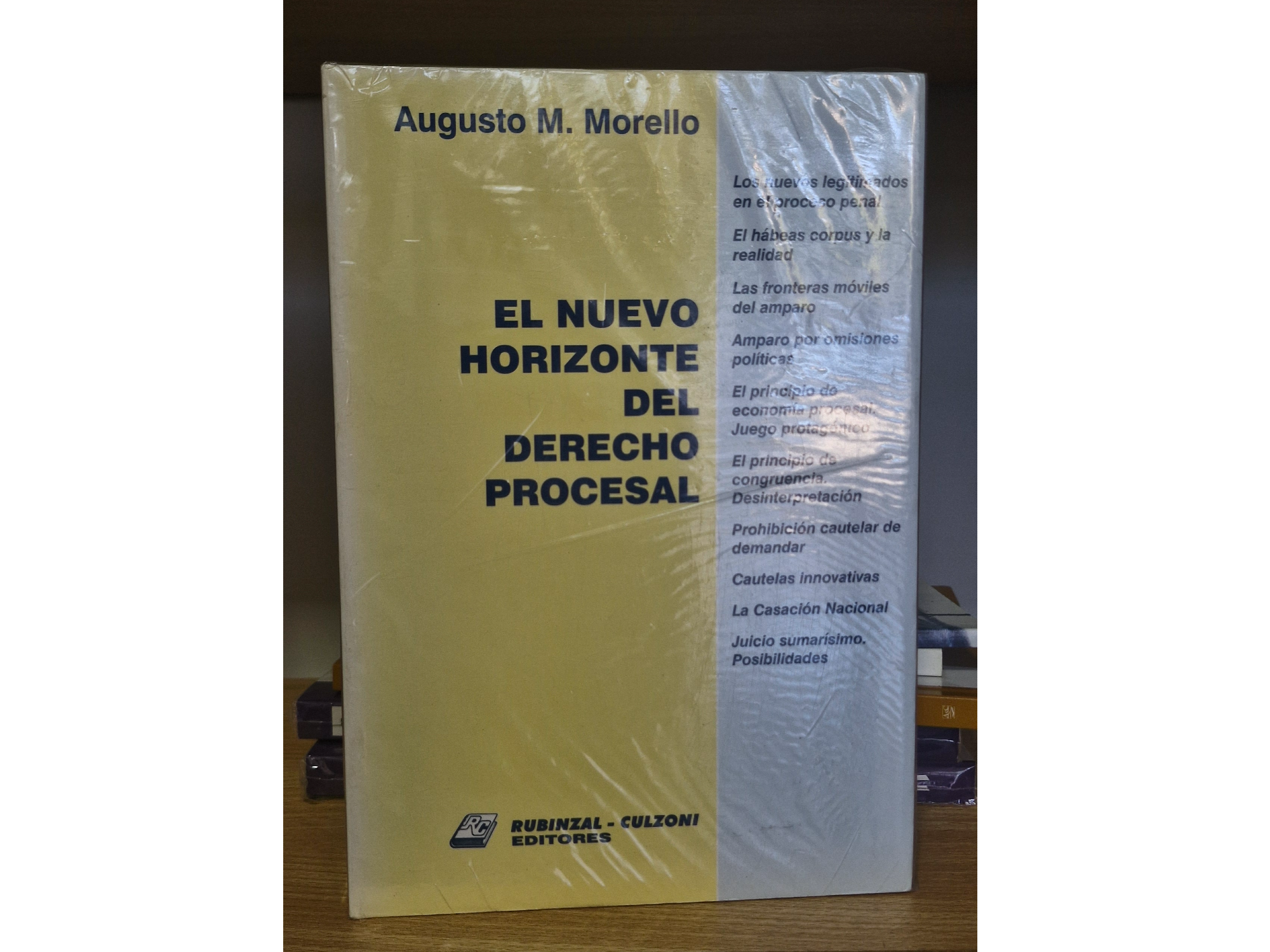 El nuevo horizonte del Derecho Procesal