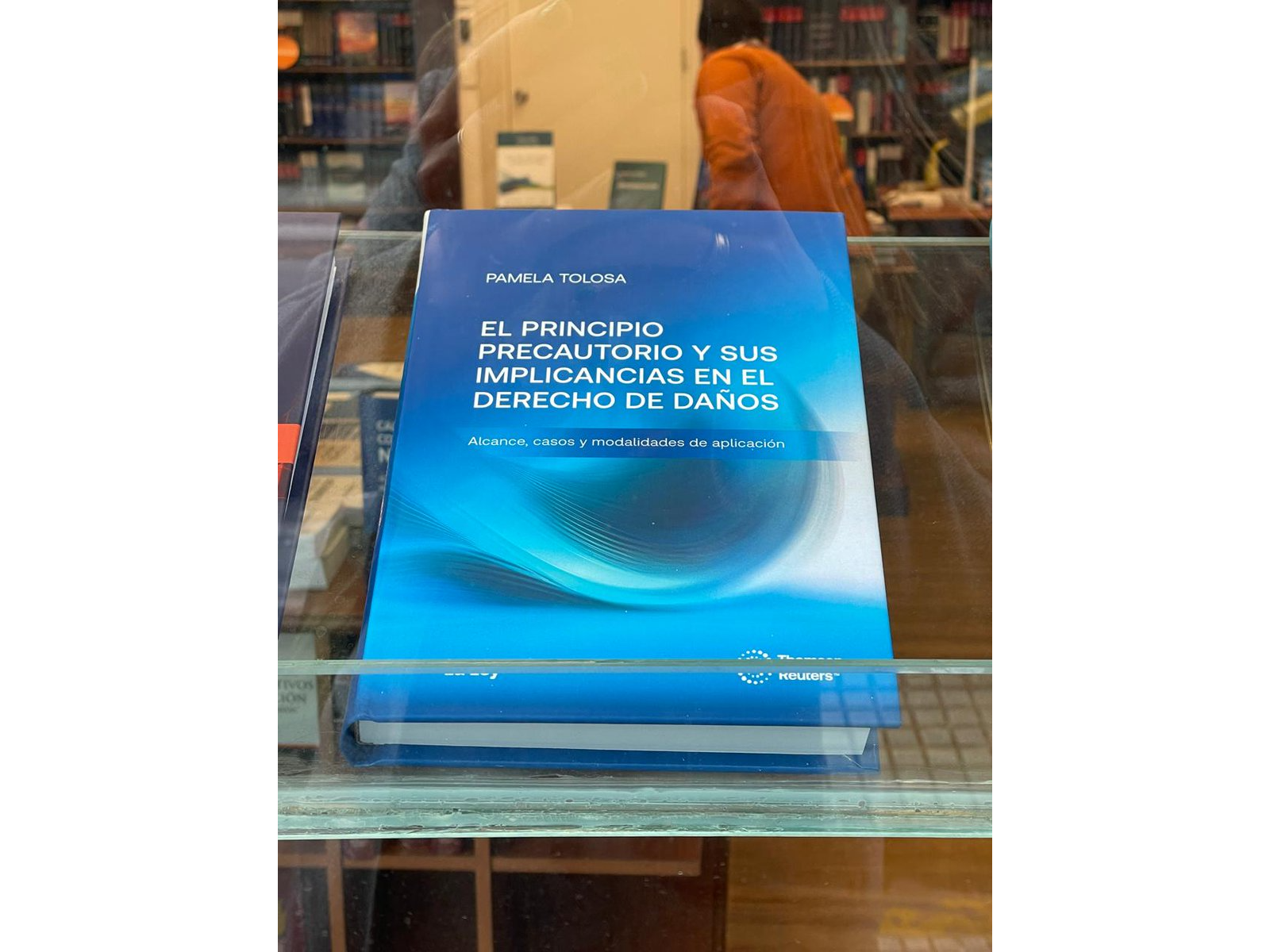 EL PRINCIPIO PRECAUTORIO Y SUS IMPLICANCIAS EN EL CAMPO DEL DERECHO DE DAÑOS