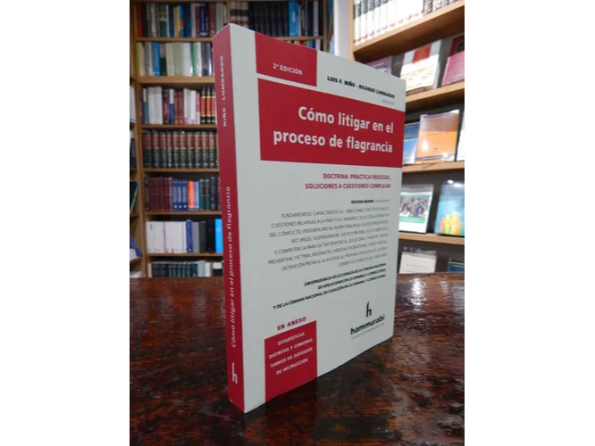Como Litigar en el Proceso de Flagrancia.