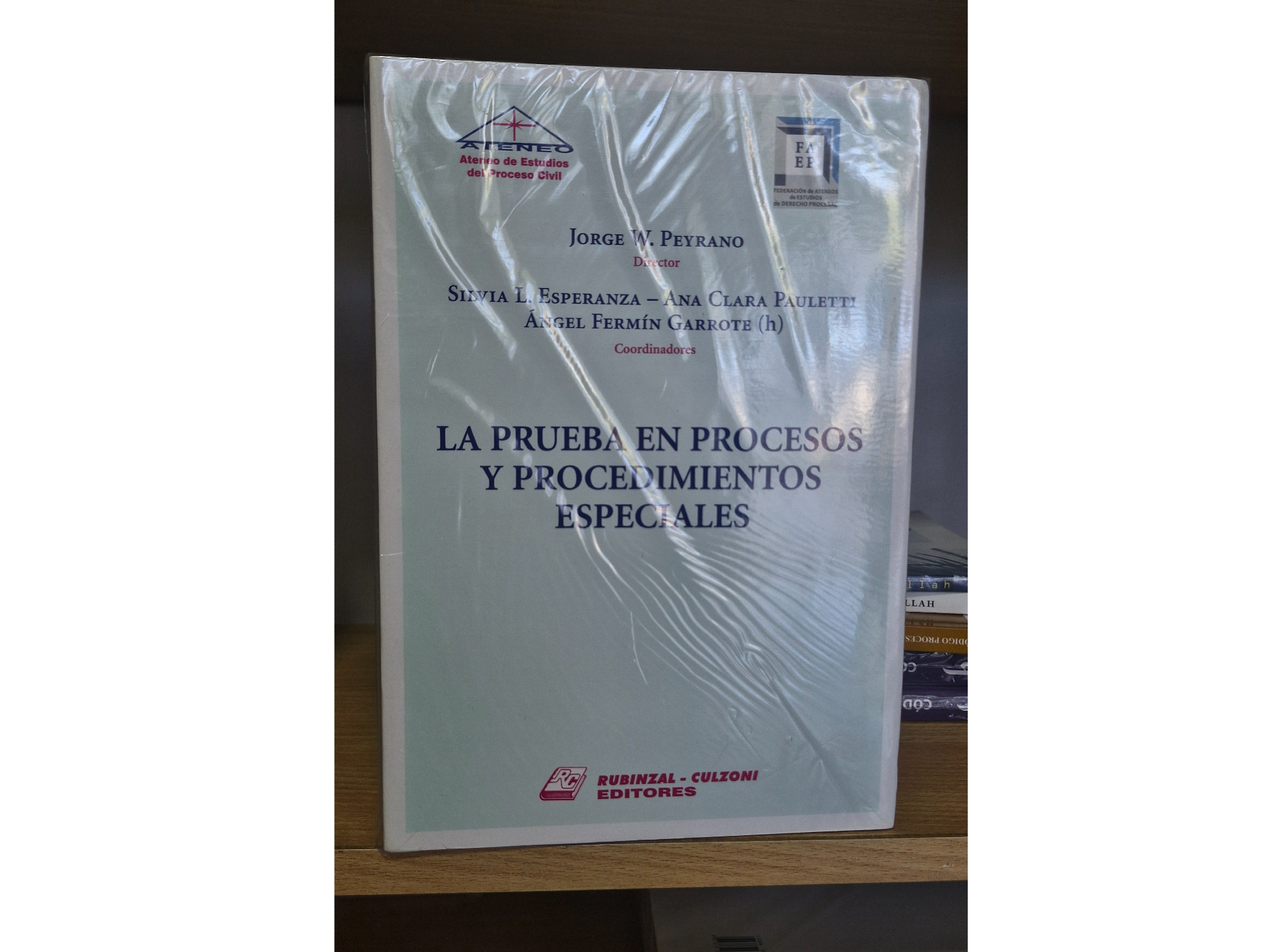 La prueba en procesos y procedimientos especiales