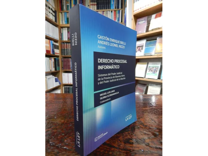 DERECHO PROCESAL INFORMATICO