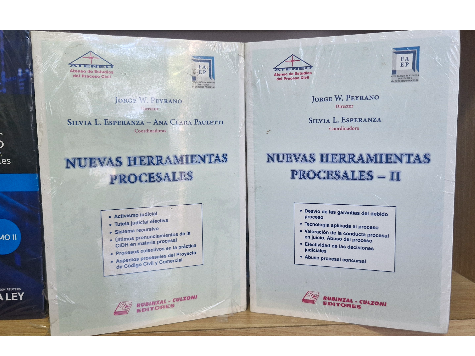 Nuevas herramientas procesales 2 Tomos